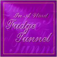 Fudge Tunnel : In a Word
